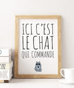 mockup-animaux-ici-chat-commande-onthewallagain